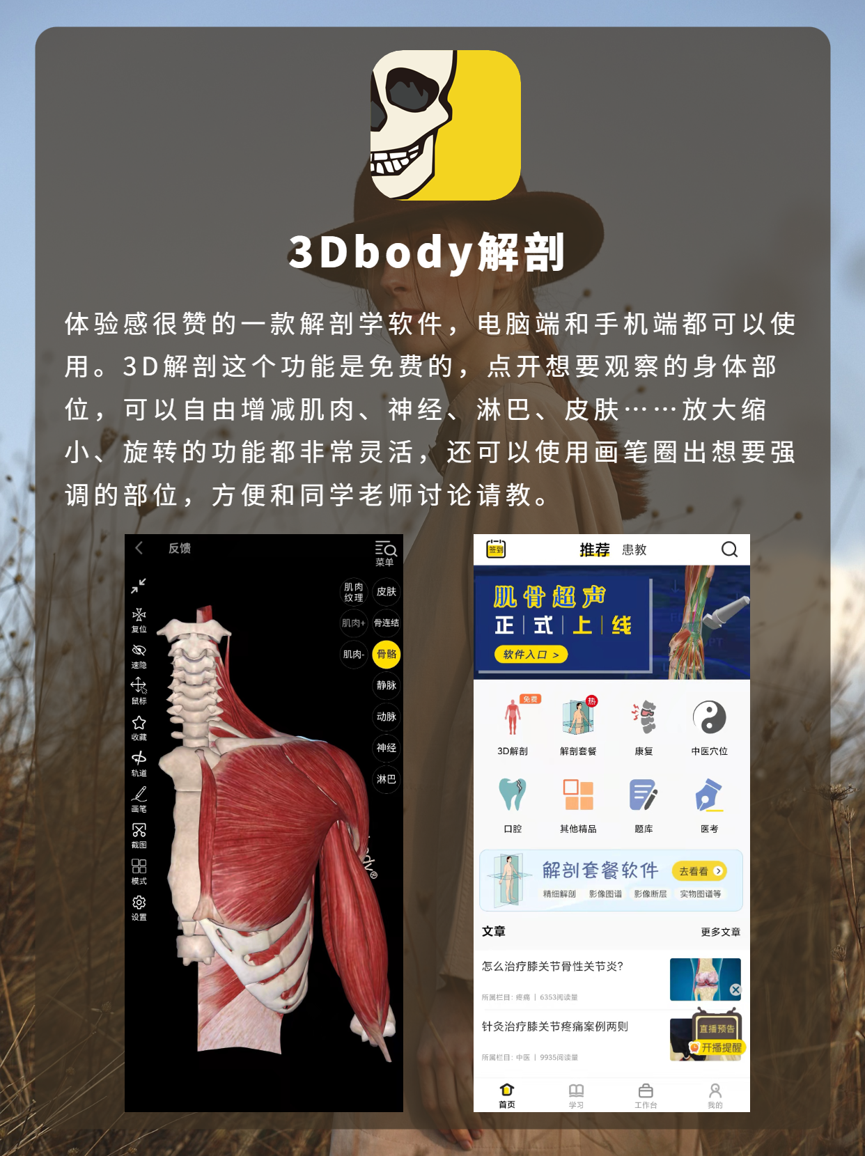 3dbody解剖手机图片