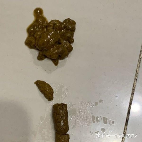 监利稀狗屎照片图片