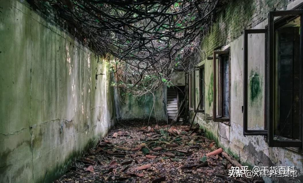 全球十大禁忌之地到底有多神秘