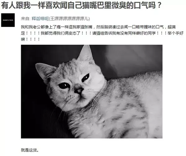 猫咪口臭熏人 仅仅是不刷牙的缘故吗 别大意 知乎