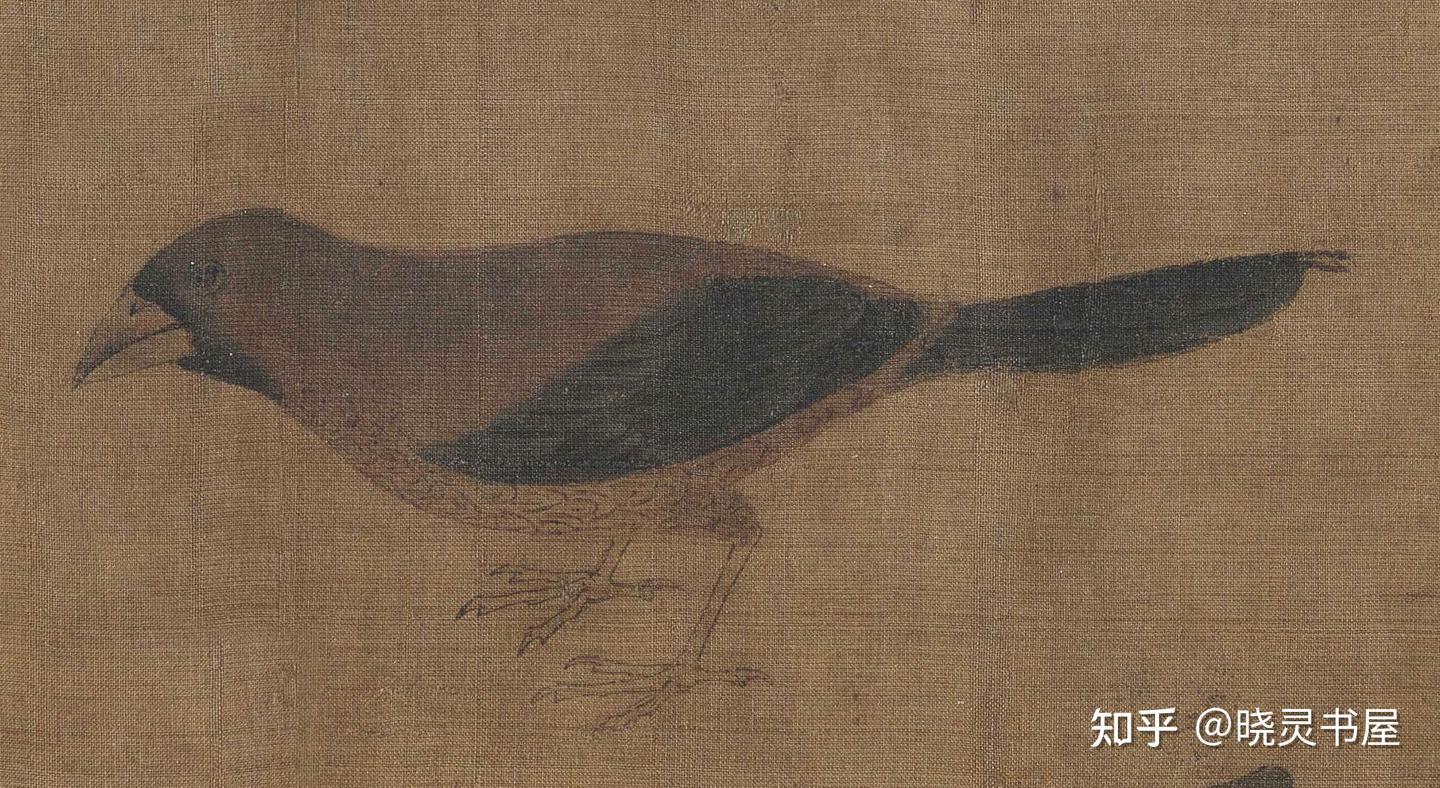 五代黄筌 | 《写生珍禽图》卷 - 知乎