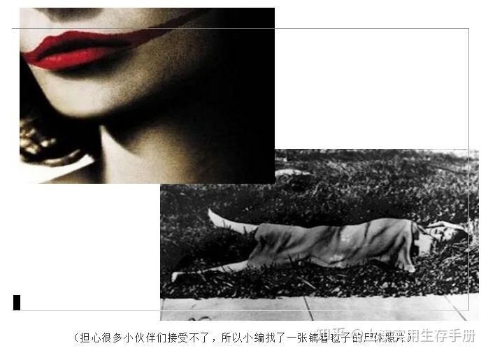 "黑色大丽花" 世纪悬案 - 知乎