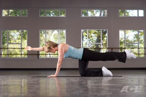 鸟狗式---背部,臀腿,核心肌 - 知乎