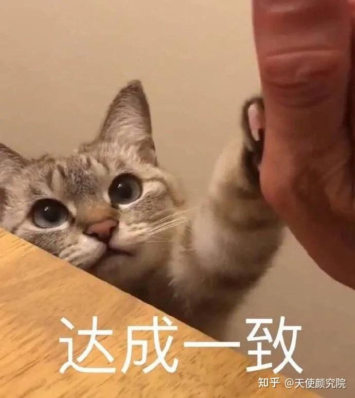 人造孙一宁半藏森林她用脑子整出了全网唯一的贵气千金脸