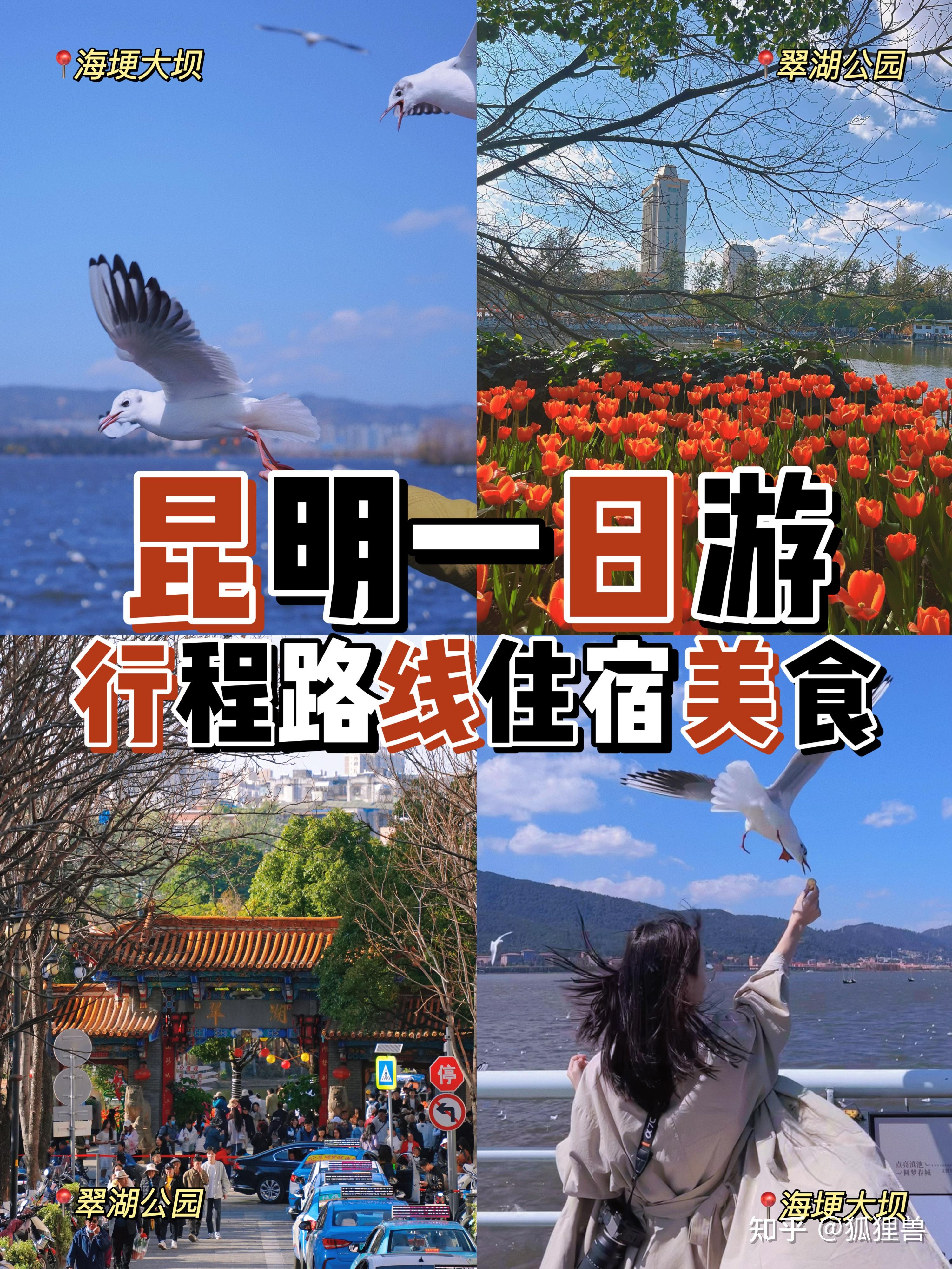 昆明一日游|省钱省心本地人推荐的游玩路线 - 知乎