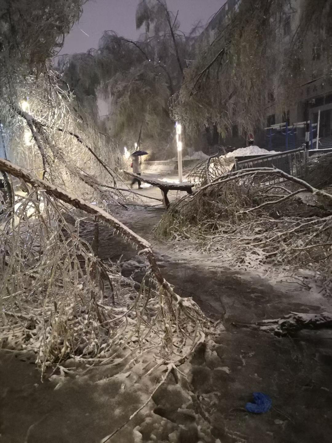 哈尔滨冻雨图片图片