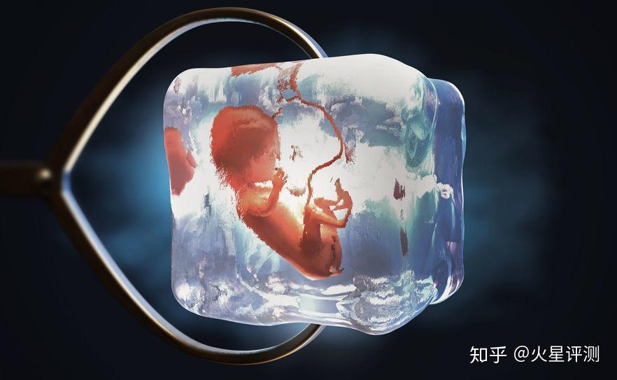 冻卵技术20冷冻胚胎技术是女性的福音吗