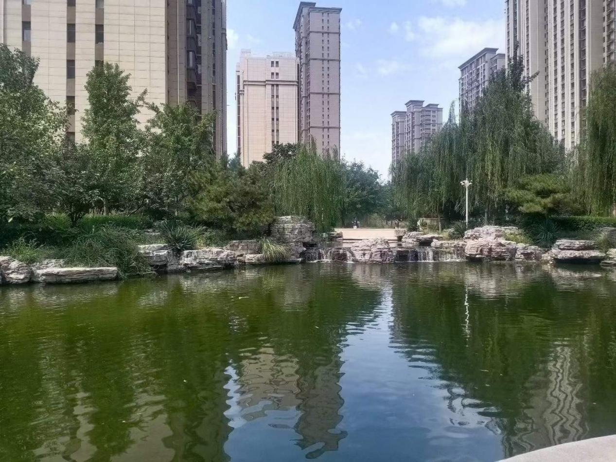 保定楼市看房日记不靠学区房价依然坚挺的丽景蓝湾c区