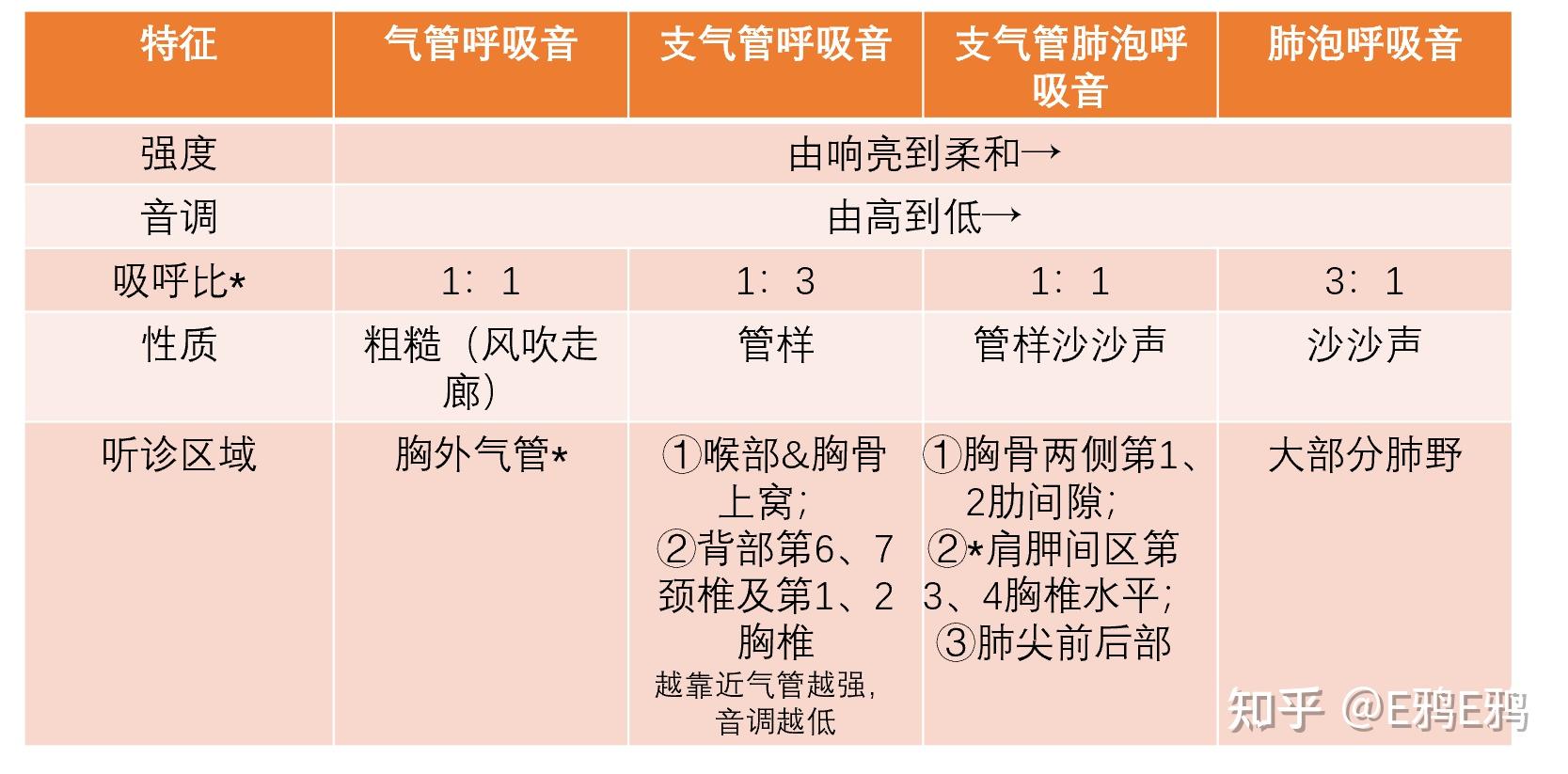 诊断学-体格检查-胸部检查:肺部听诊正常呼吸音