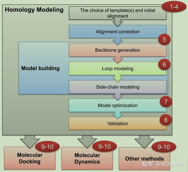 PyMOL教程基于MODELLER快速进行单链蛋白同源建模 知乎