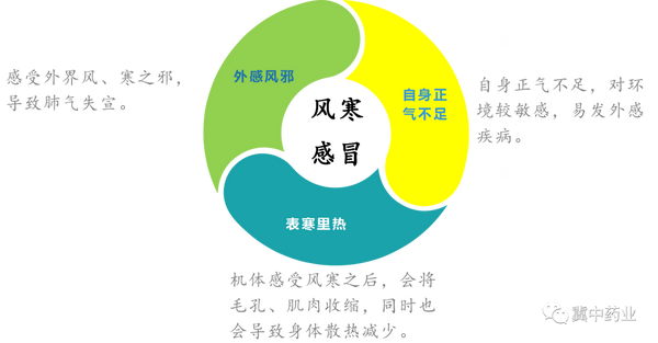 等症状；中后期，会出现寒包火（表寒里热）等症状。风寒感冒--病因分析