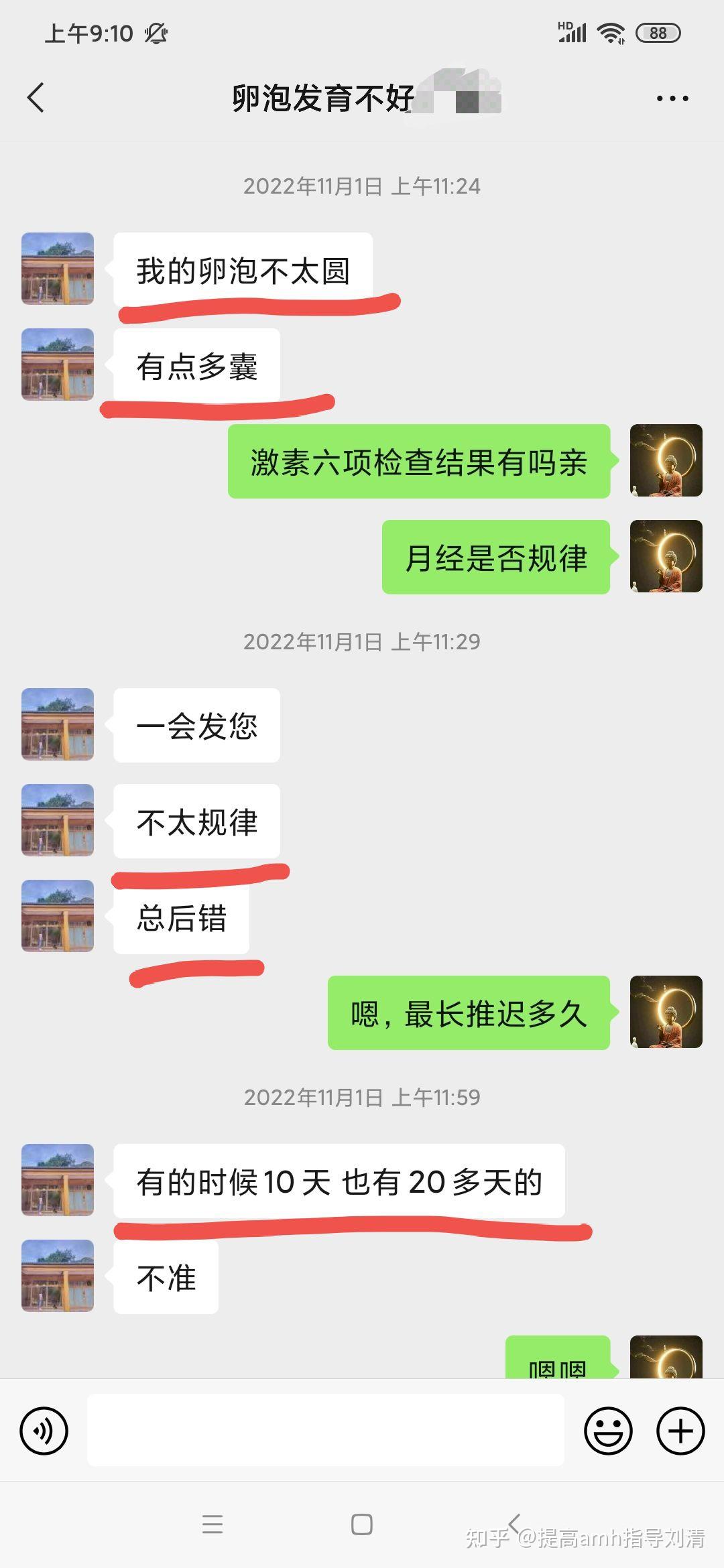 理解影响囊胚形成的因素