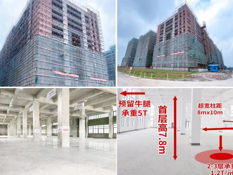 高層高,高荷載,寬柱距,嚴選行業五星品牌建材,高抗震建造級別,鋼筋和