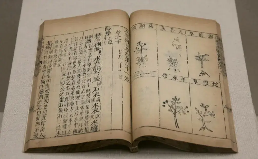 在《本草纲目》,《日华子诸家本草》,《本草图经》,《神仙芝草经》中