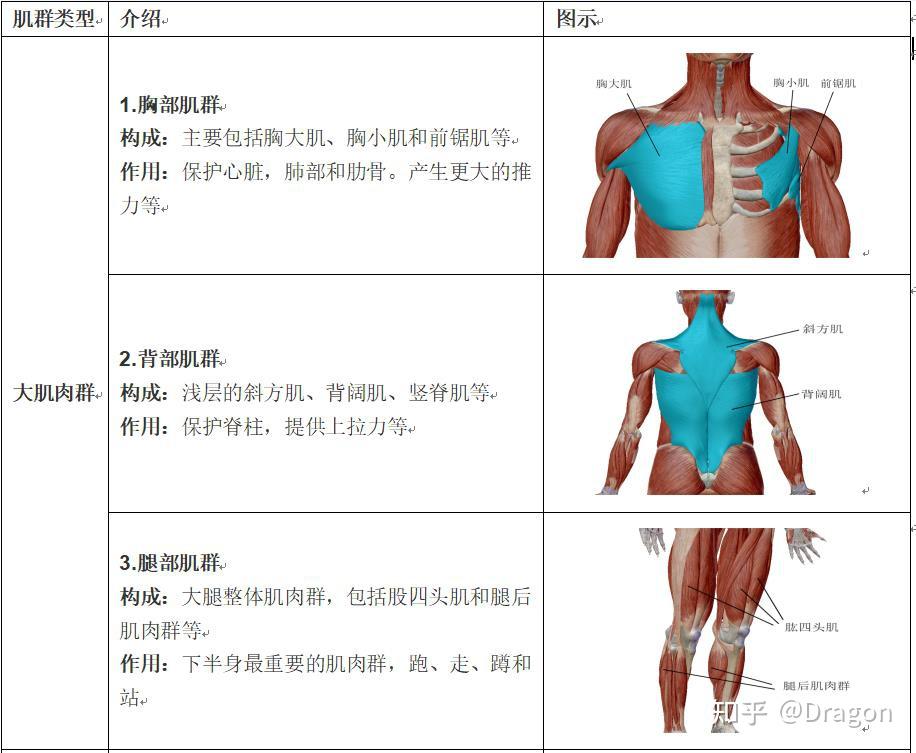 健身第一步:新手如何开始健身 - 知乎