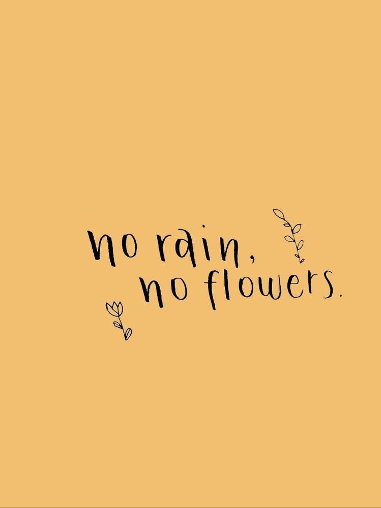 护士长在医院里比985本科生博士生还要牛逼吗