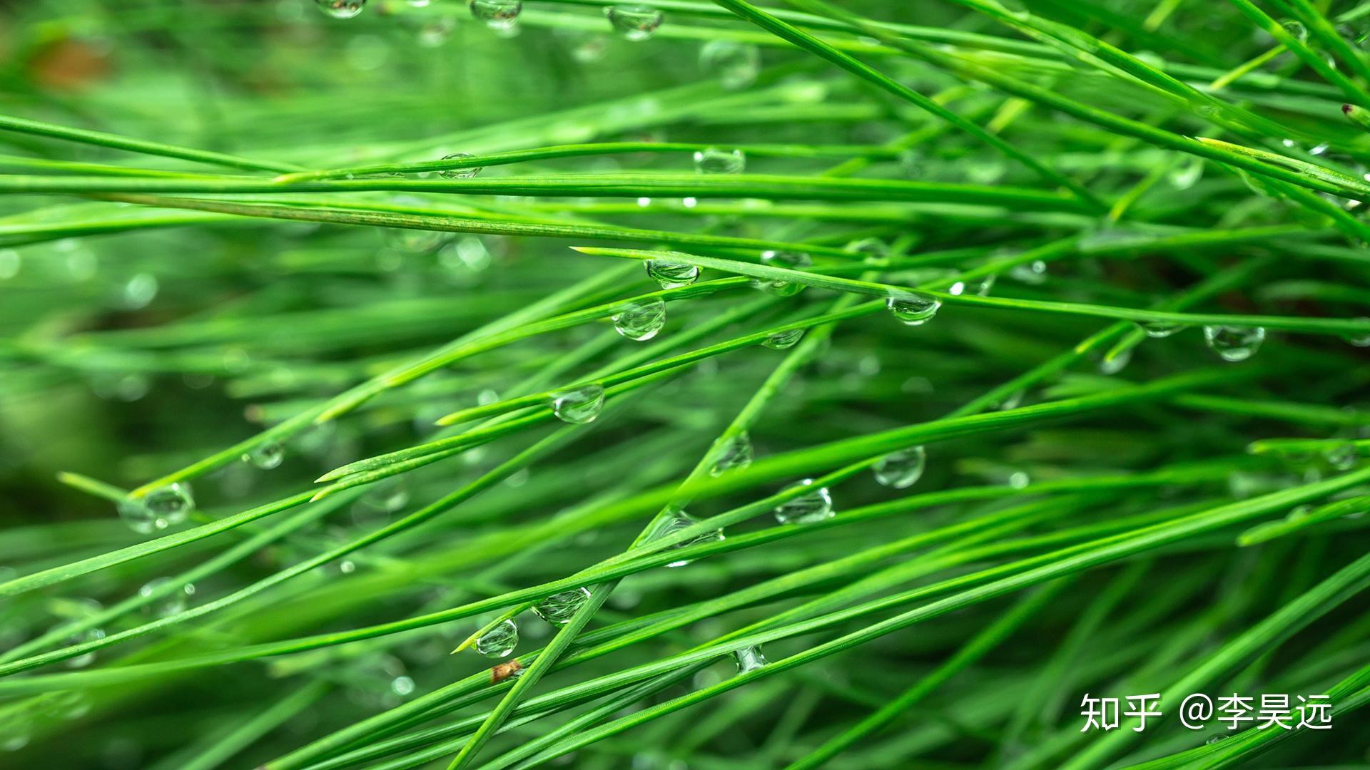 古语云:壬水汪洋并百川,漫流天下总无边,癸水应非雨露摩,通根亥子即