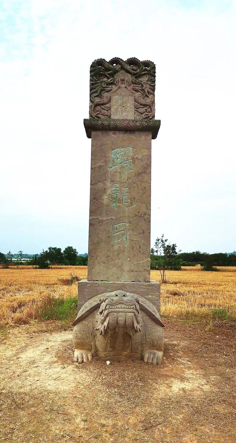 看见大明王朝的起点越过千年时光明光尿布滩,跃龙冈众多朱元璋故事