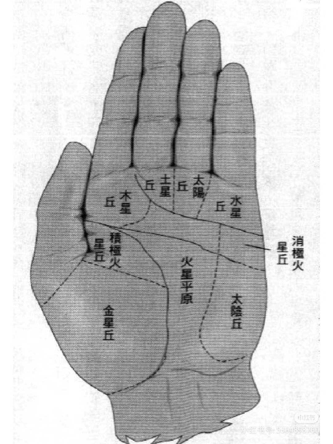 手纹 - 知乎