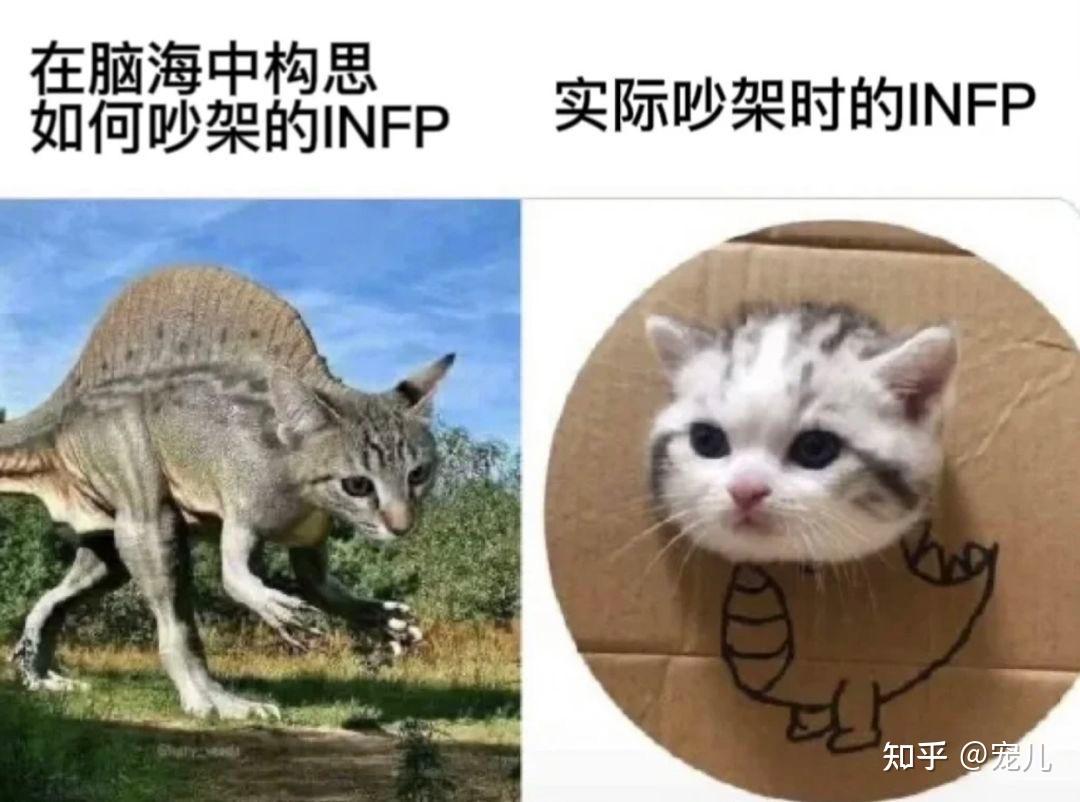 INFP梗图表情包 - 知乎