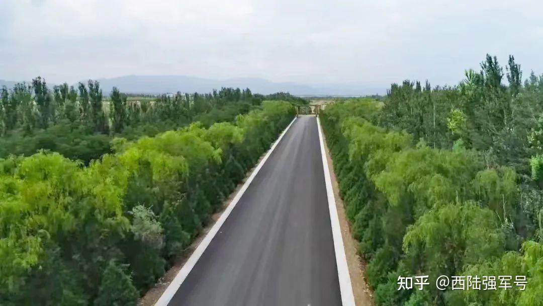 戈壁种树5000亩，咋做到的 知乎 