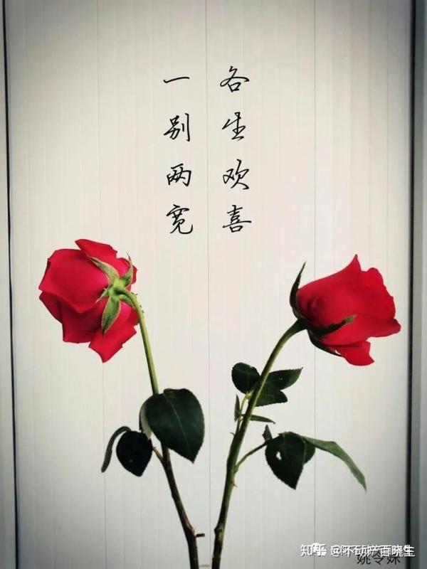 "离婚快乐,我一定要去吃晚喜面"马奶奶拿到离婚证时,喜悦之情溢于言表