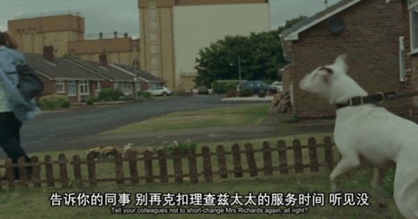 《危情蜻蜓》没有廉价血浆的惊悚片，才是最高级的