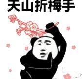 动图封面