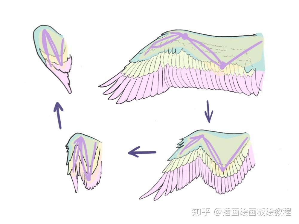 翅膀怎么画才好看教你画翅膀时应该注意的要点