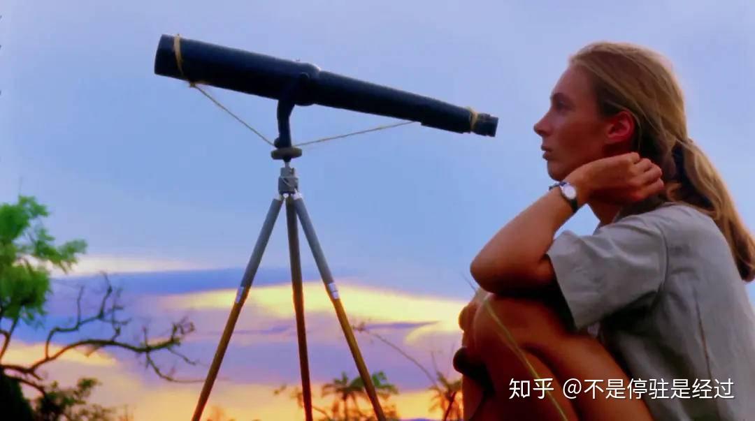 珍·古道尔:失败不是命定的,而是我们自己认输了