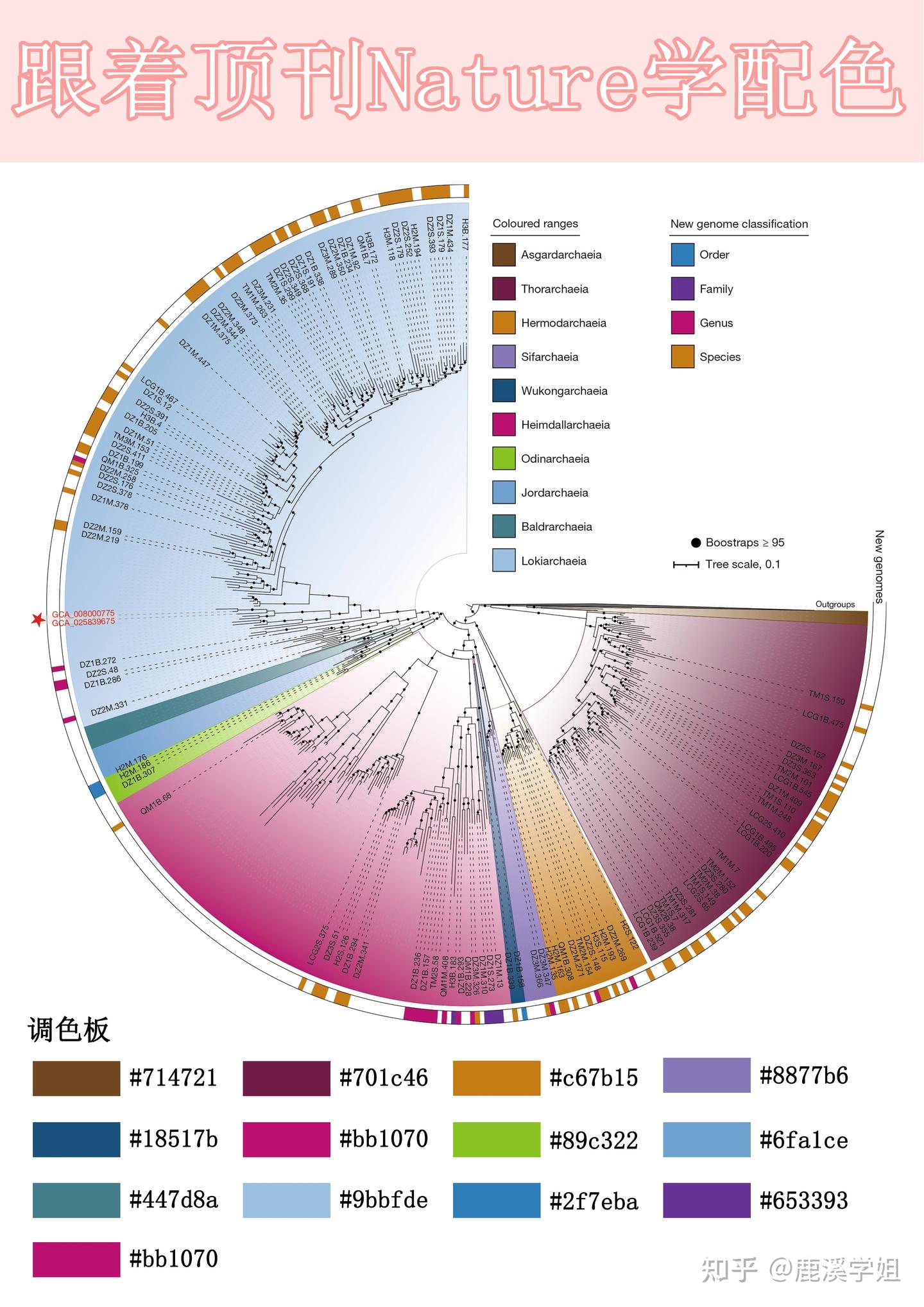 Nature御用配色公式！科研绘图秒变顶刊风，3招搞定高级感 - 知乎