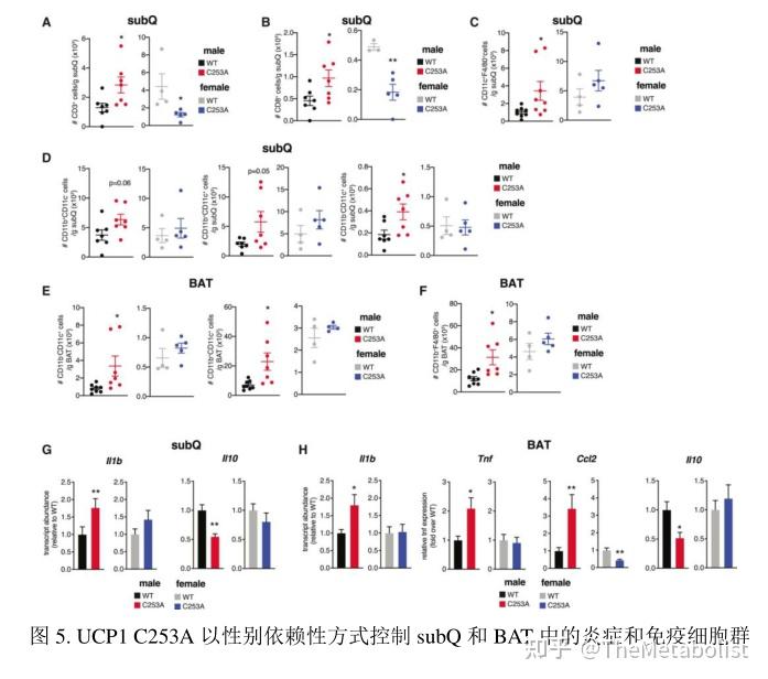 代谢学人--Cell Metabolism：产热和炎症也有“性别歧视”? - 知乎