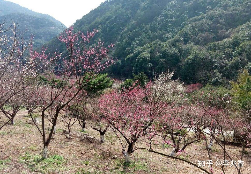 描寫春遊的心情句子春遊踏青發朋友圈的說說