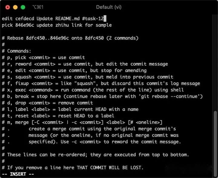  19 git commit 