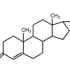 雄性激素与雌性激素