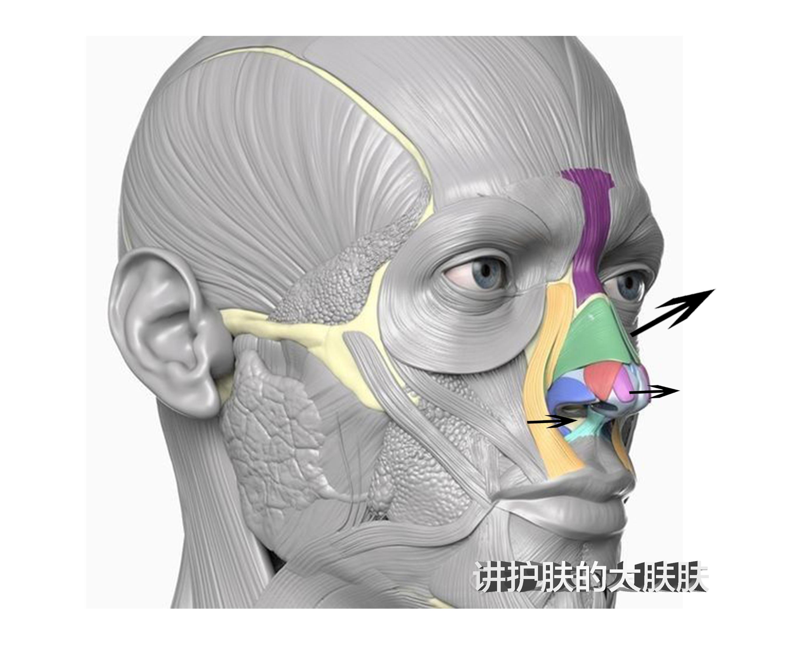 有没有办法不通过整容缩小鼻翼和鼻头? - 知乎