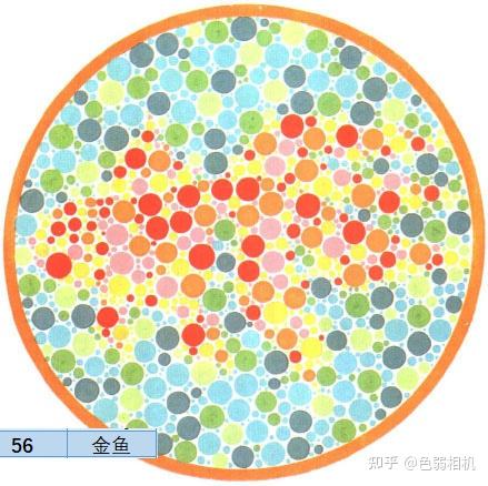 色弱测试图及答案 王克长第二版 驾考,体检,征兵专用