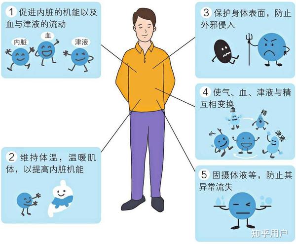 什么是气?中医里面的”气“究竟是什么?气的概念及作用 - 知乎