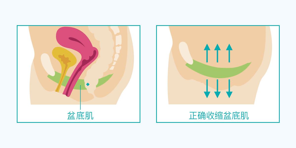 产后盆底肌最佳修复时间是什么时候?千万不要错过