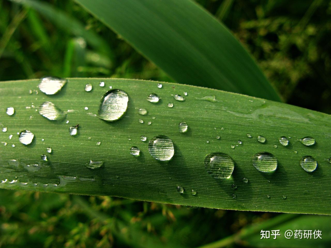 下雨的季节，祛湿很重要 - 知乎