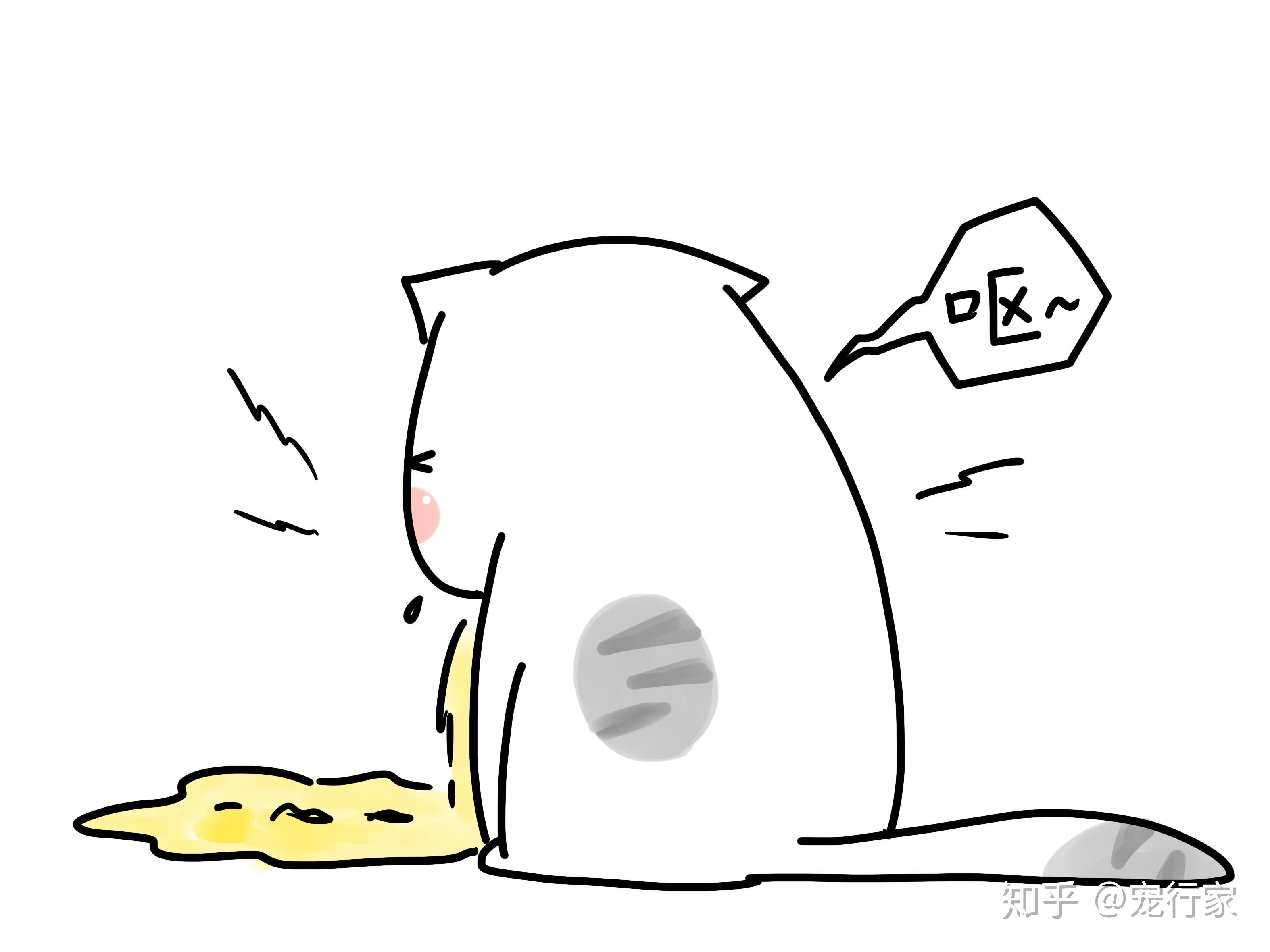 了解猫"生病状态"时的表现,猫生病时你才能及早发现,及时治疗