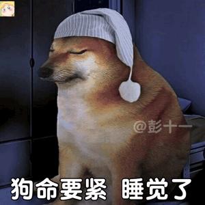 狗蛋 鸡蛋柴犬 面包狗香肠狗 十二生肖柴犬表情包