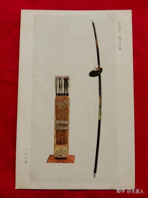 原始和弓属 - 知乎