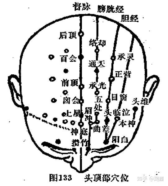 头部经络正面图片