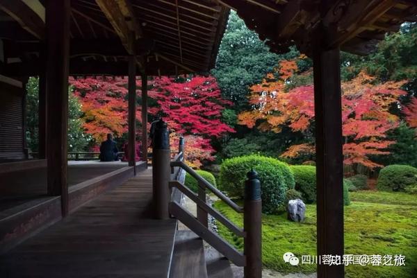 19日本枫叶季 赏枫地点集锦 值得收藏 知乎