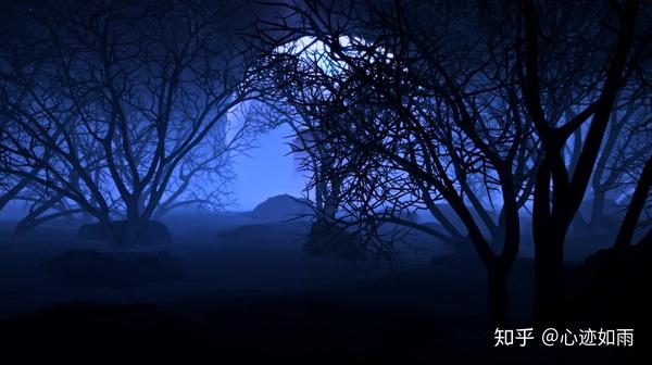 随着阴森诡异的音乐一起探险焚莱森林