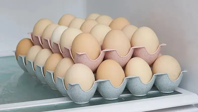 生鸡蛋能不能吃