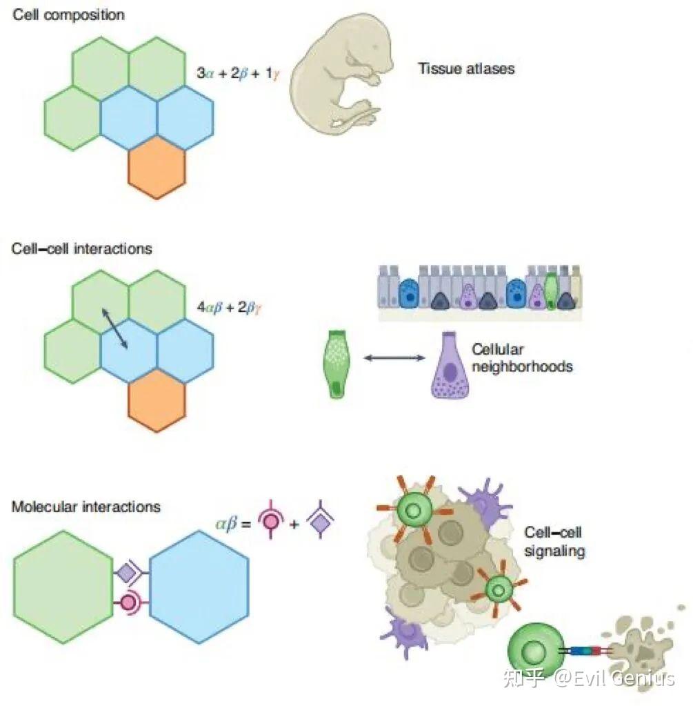 空间转录组的几个分析要点及经典文献分享 - 知乎