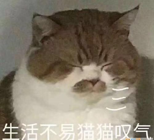 有没有好的兼职可以做的 v2-0185bb069938408f495856d1262b48fd_r.jpg