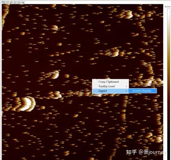 全网最全！AFM数据处理软件Nanoscope Analysis安装教程（附安装包），以及使用教程！ - 知乎